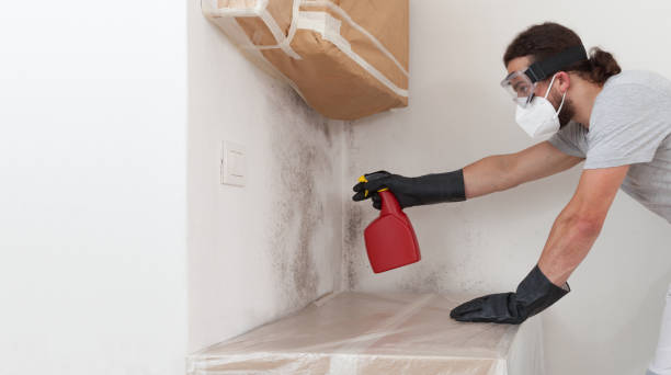 Professional Basement Mold Remediation technician working in Newport News, VA
